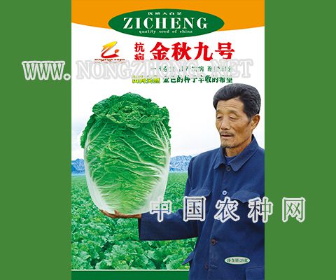 金秋九号